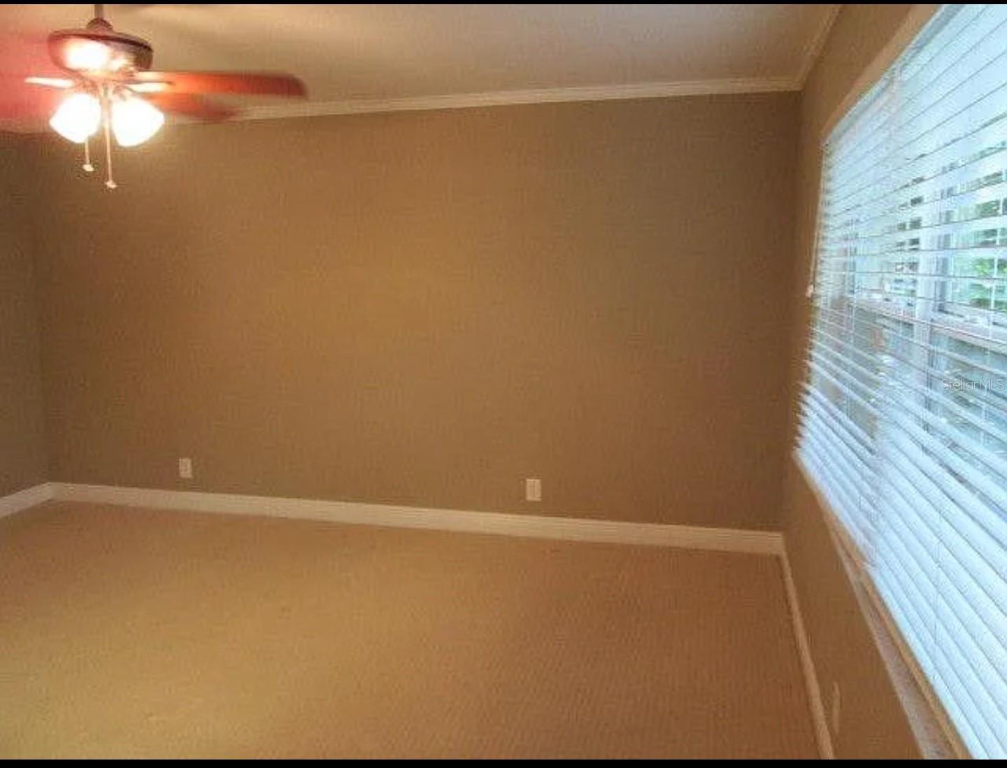 1506 S TRASK ST, TAMPA, FL, 33629