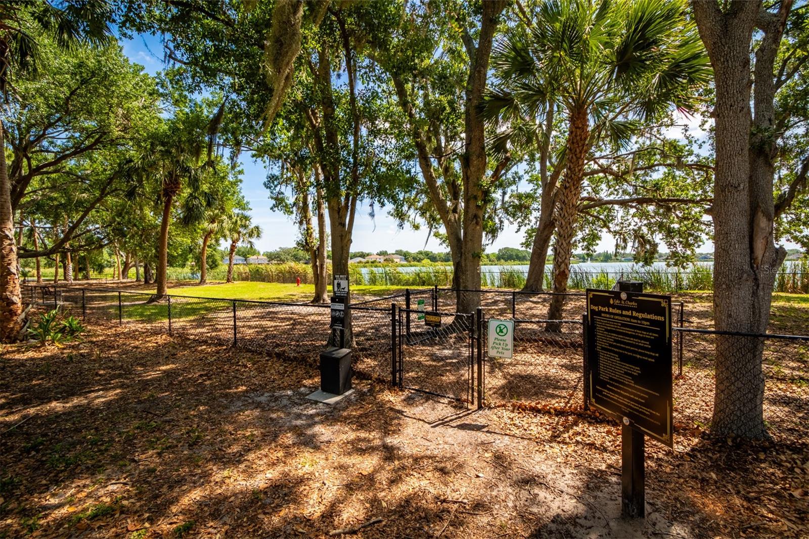 Dog park