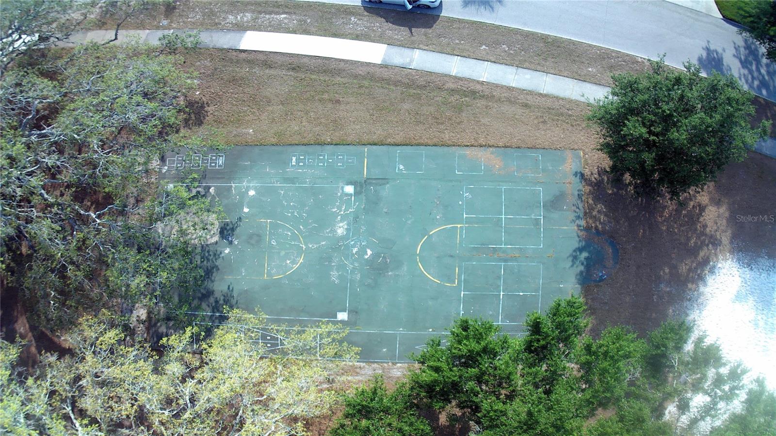 309 DEER PARK AVE, TEMPLE TERRACE, FL, 33617