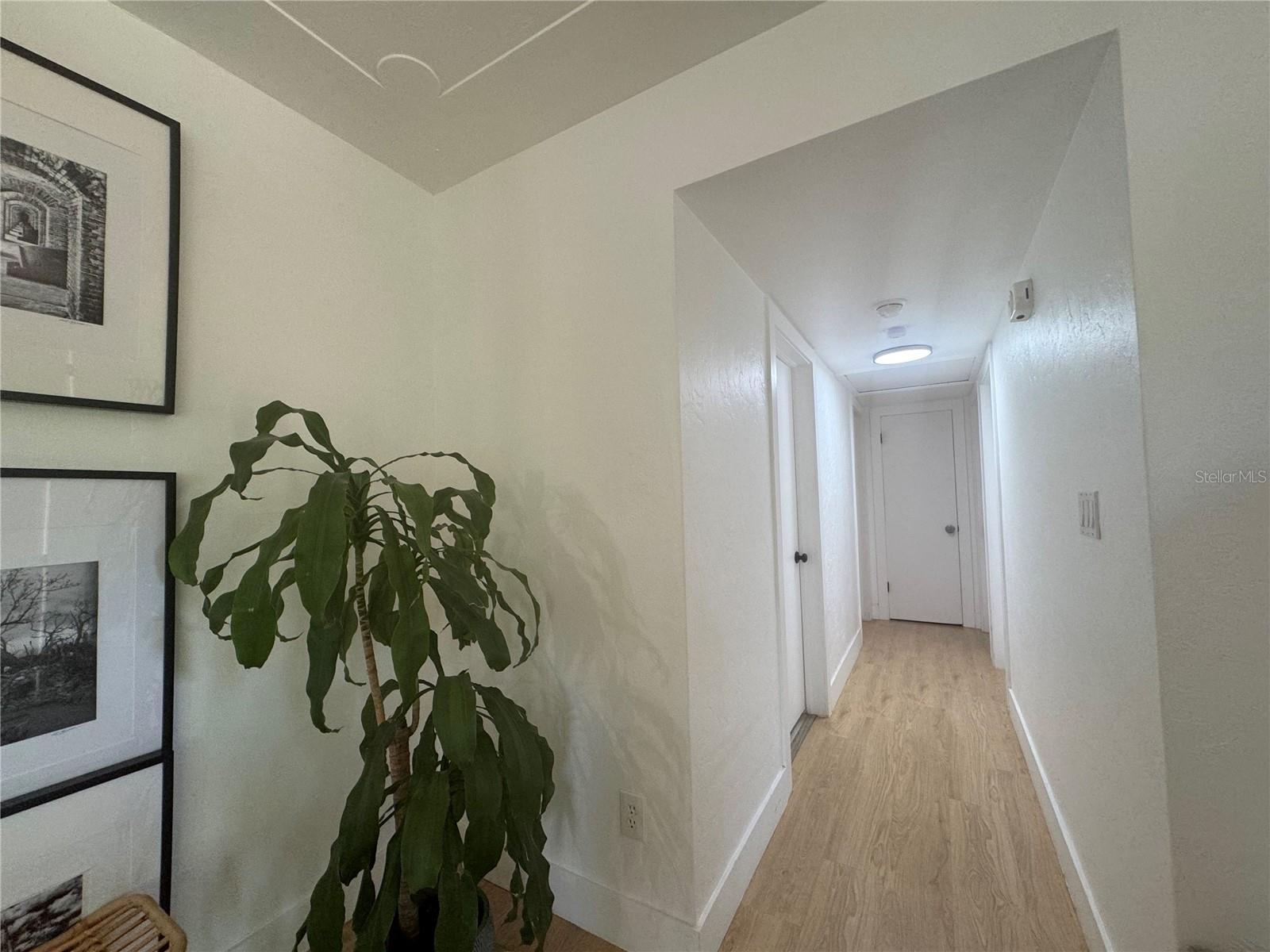 309 DEER PARK AVE, TEMPLE TERRACE, FL, 33617