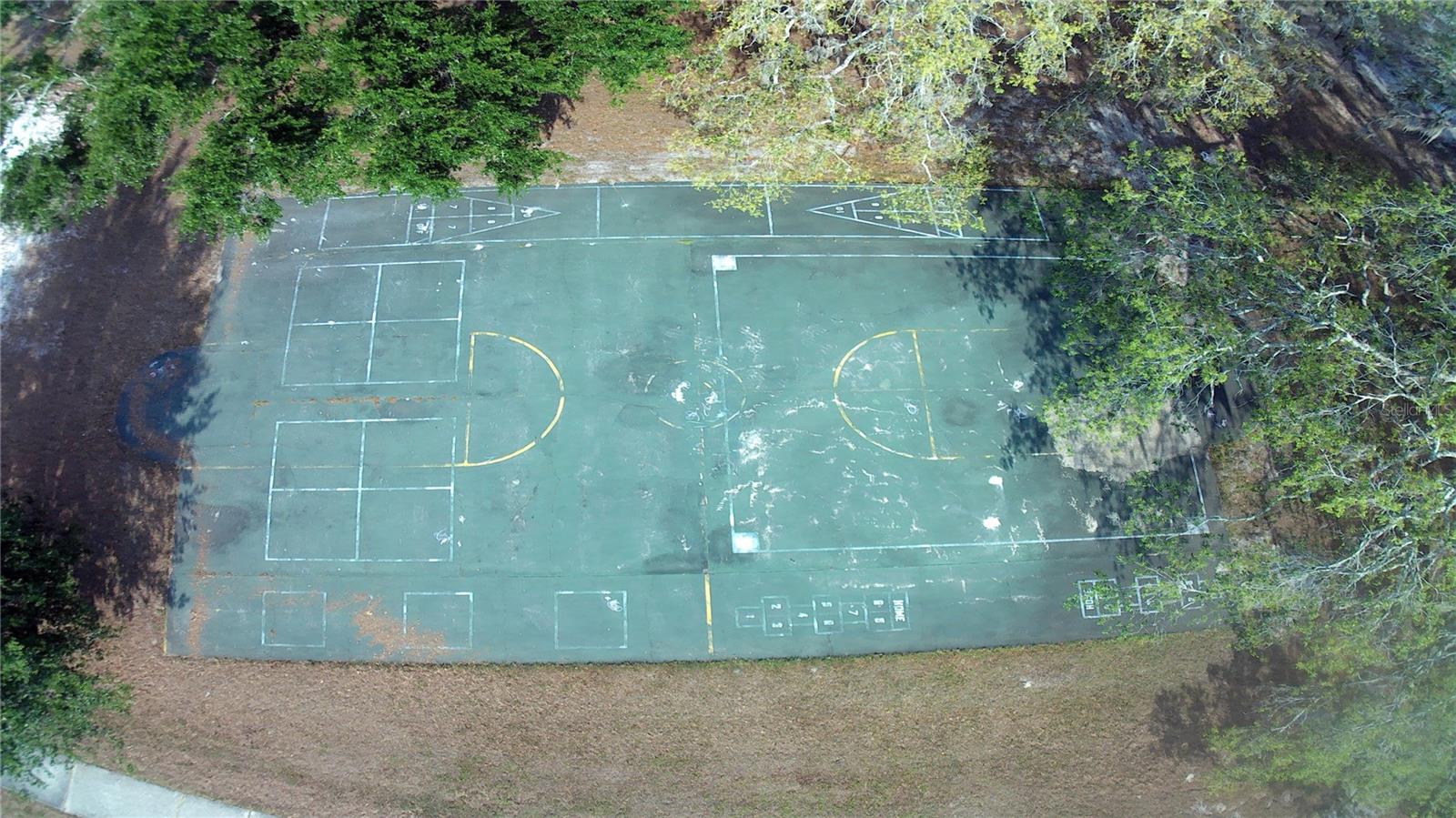 309 DEER PARK AVE, TEMPLE TERRACE, FL, 33617