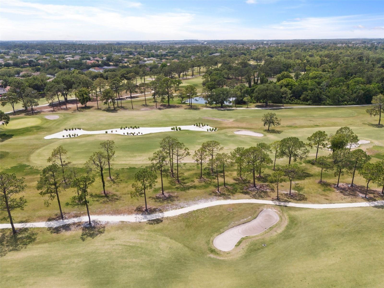 14037 FAIRWAY WILLOW LN, WINTER GARDEN, FL, 34787