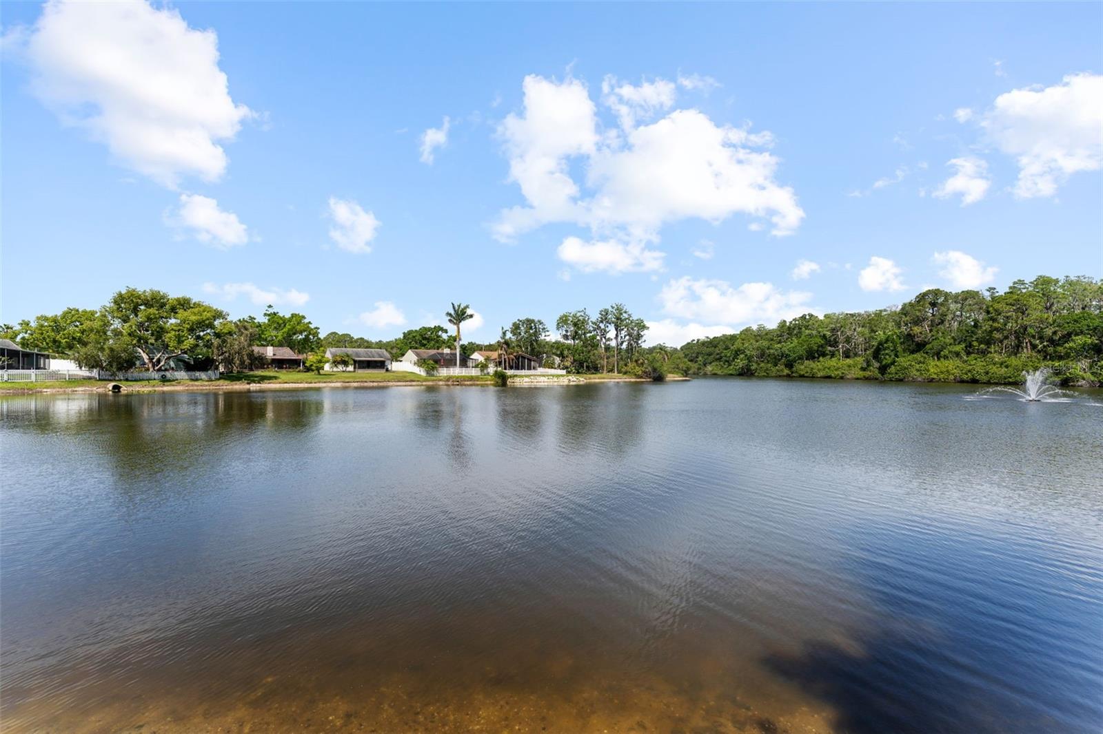 1208 SAWGRASS CT, OLDSMAR, FL, 34677