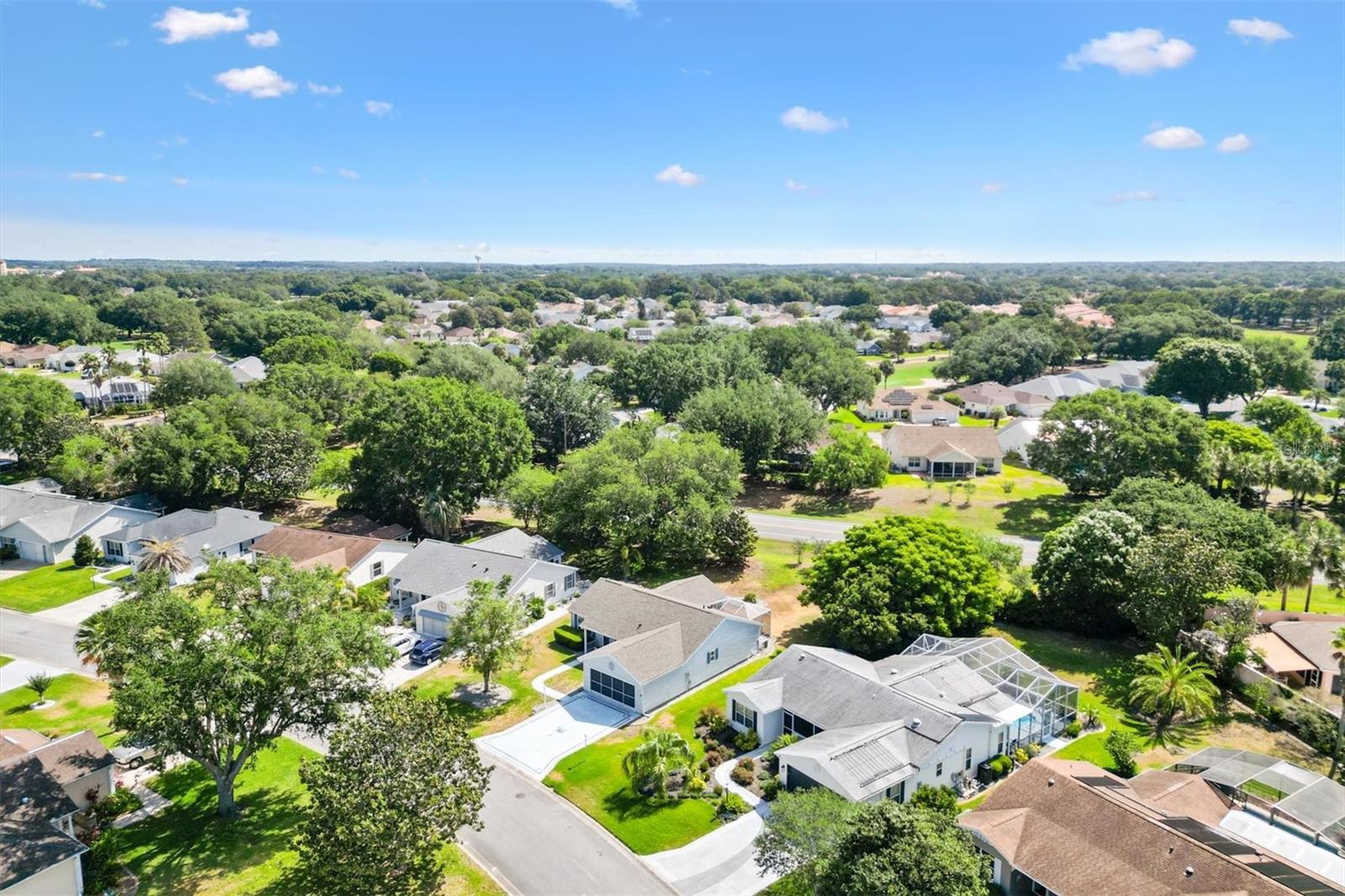 917 CAMINO DEL REY DR, THE VILLAGES, FL, 32159