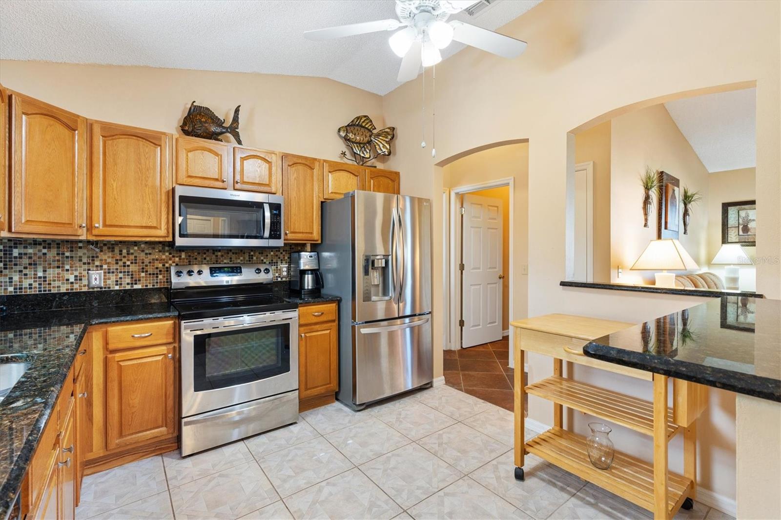 917 CAMINO DEL REY DR, THE VILLAGES, FL, 32159