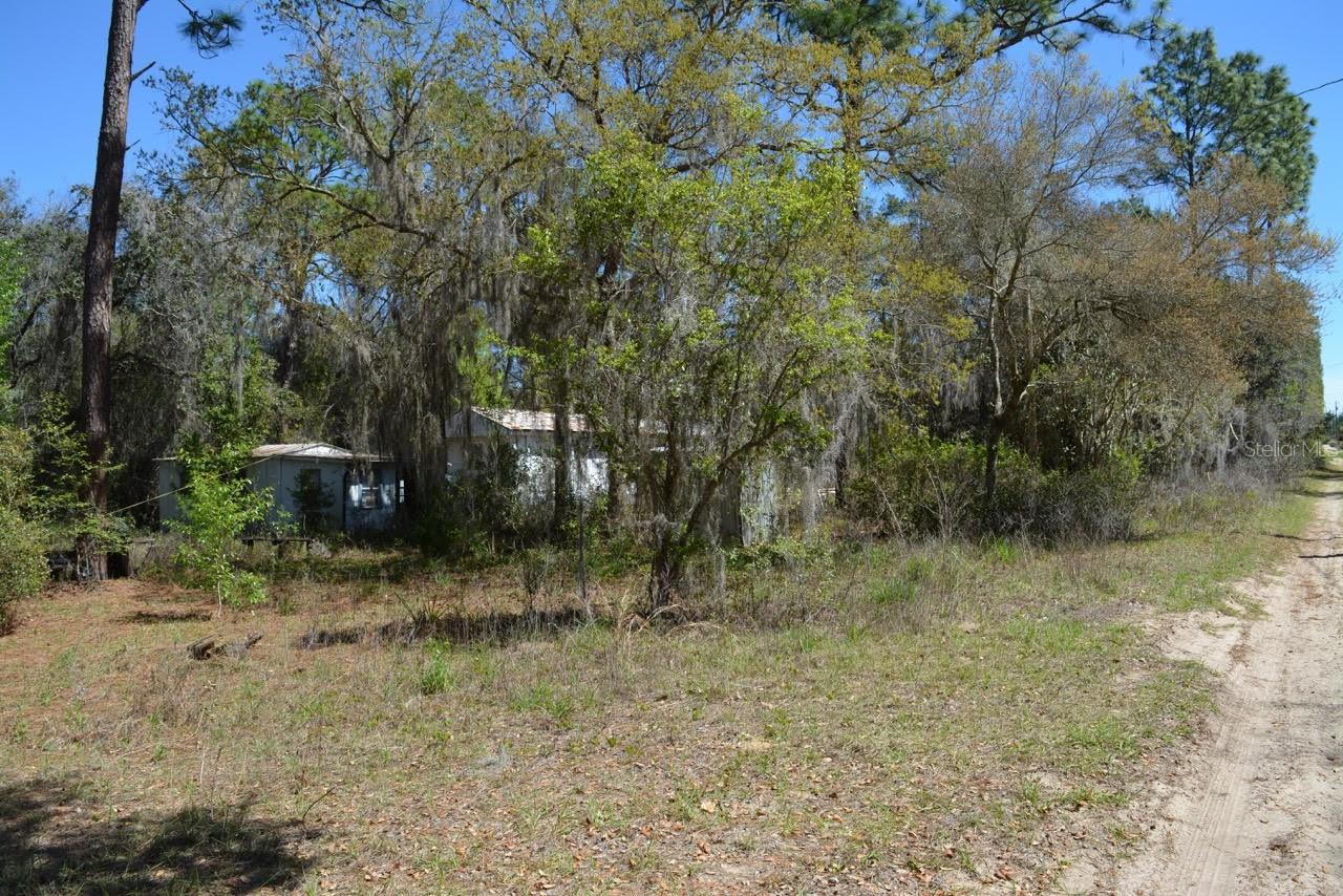 14497 NE 204TH LN, FORT MC COY, FL, 32134