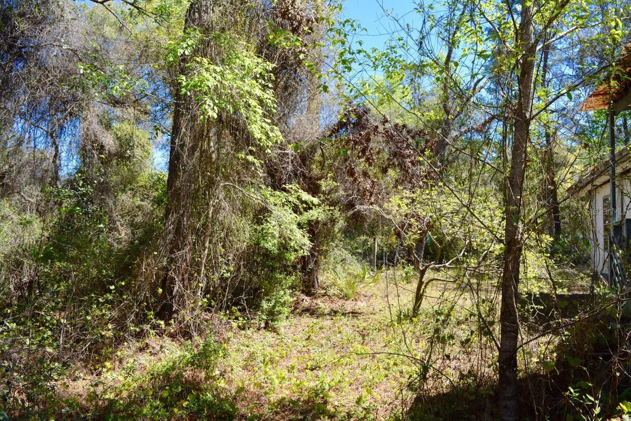 14497 NE 204TH LN, FORT MC COY, FL, 32134