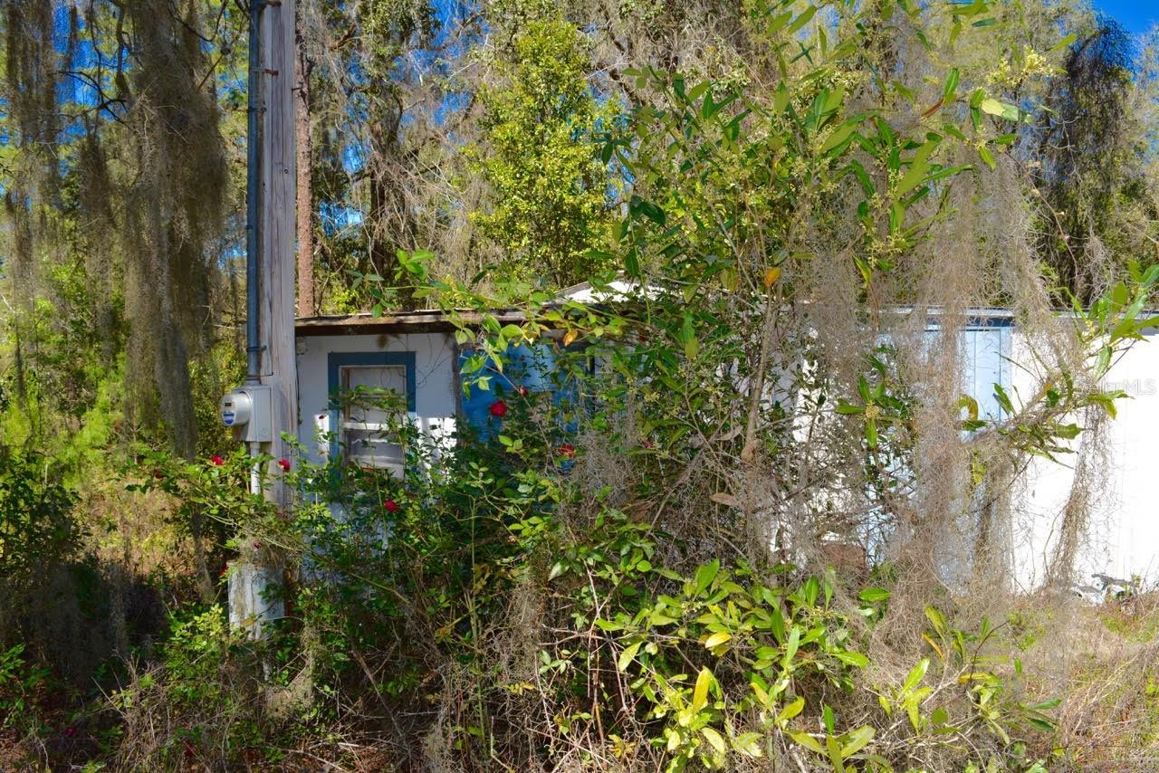 14497 NE 204TH LN, FORT MC COY, FL, 32134