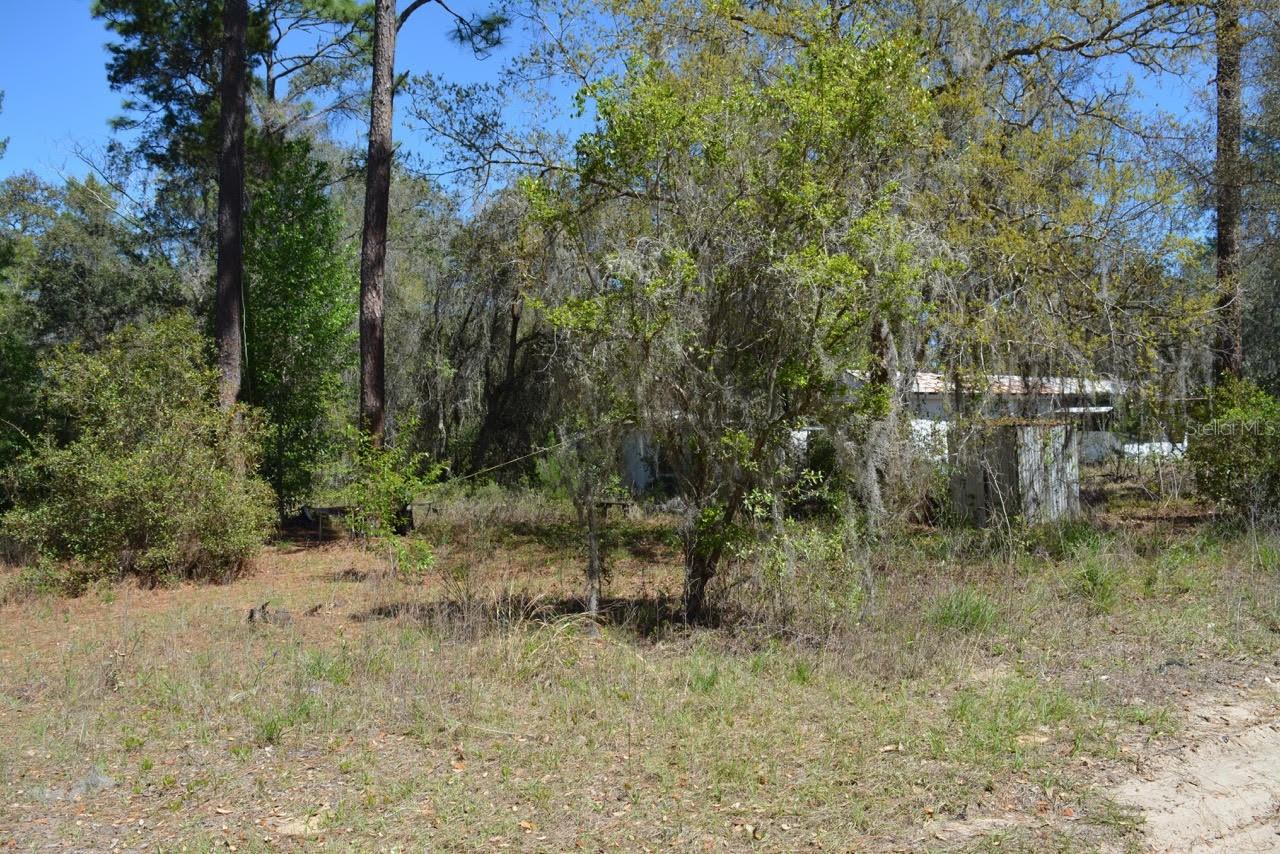 14497 NE 204TH LN, FORT MC COY, FL, 32134