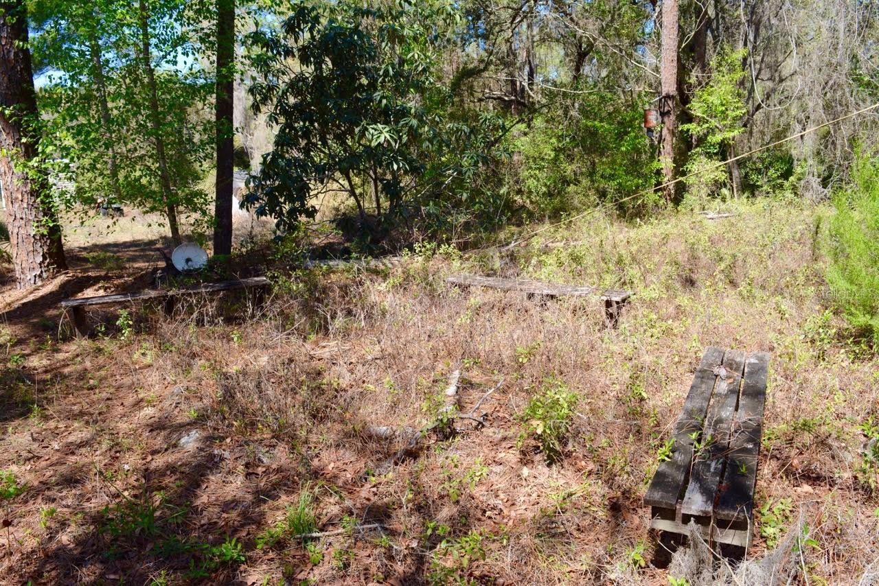 14497 NE 204TH LN, FORT MC COY, FL, 32134