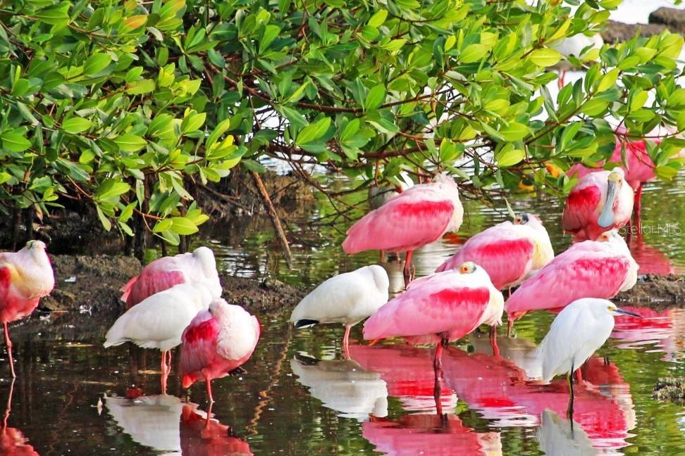 78 TIDY ISLAND BLVD, BRADENTON, FL, 34210