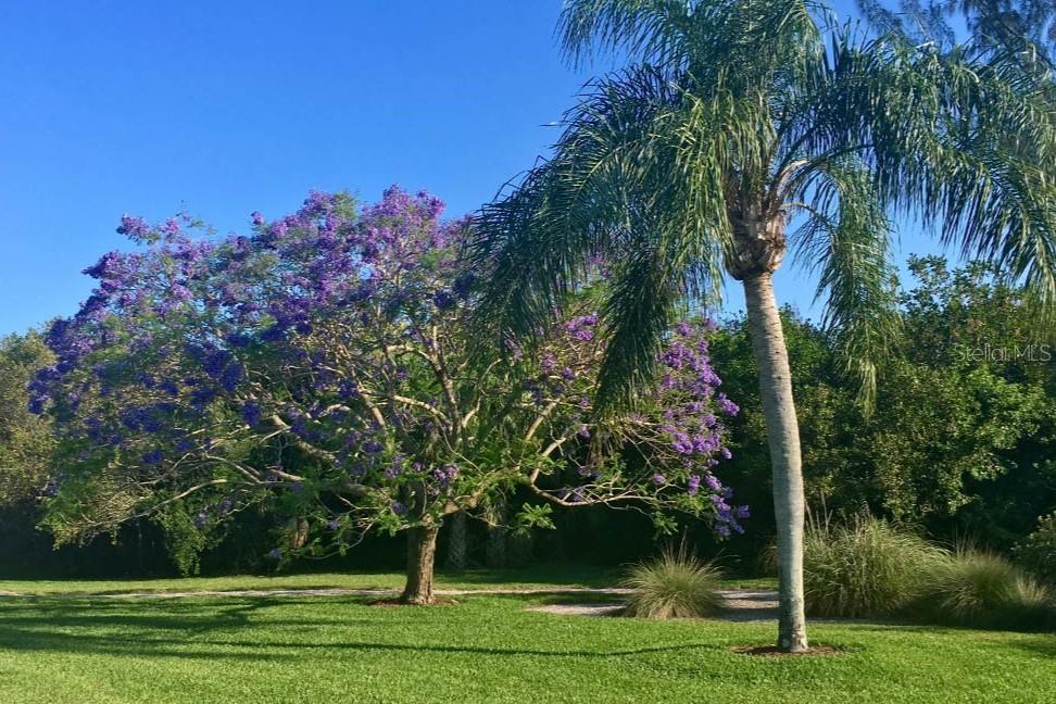 78 TIDY ISLAND BLVD, BRADENTON, FL, 34210