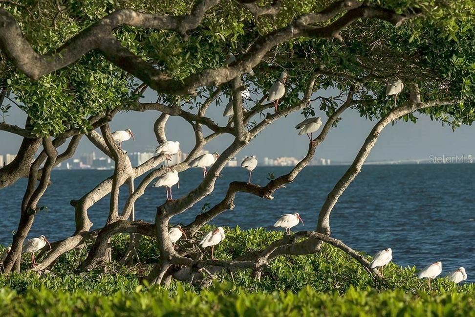 78 TIDY ISLAND BLVD, BRADENTON, FL, 34210