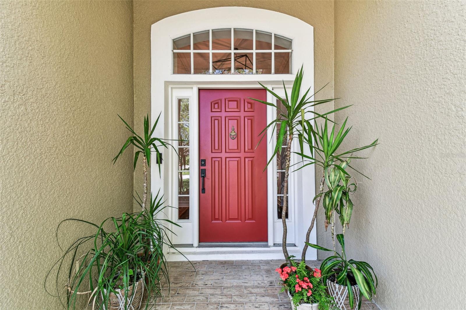 1816 CURRY RD, LUTZ, FL, 33549