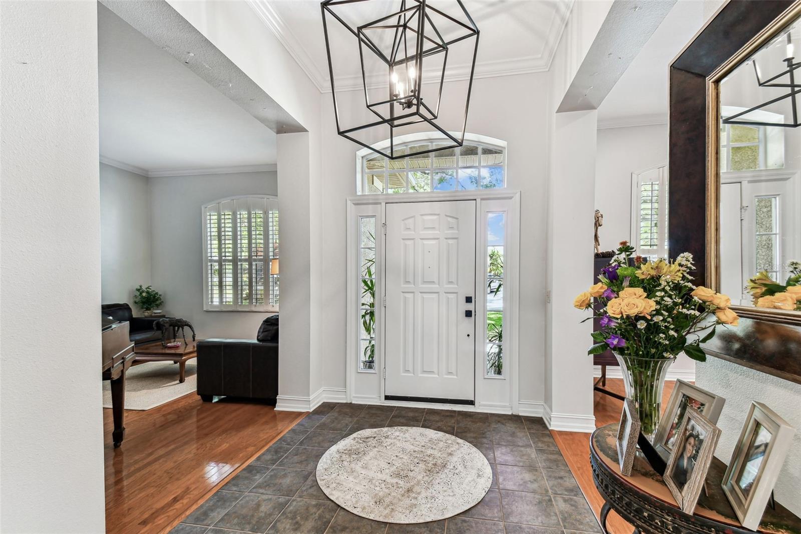 1816 CURRY RD, LUTZ, FL, 33549