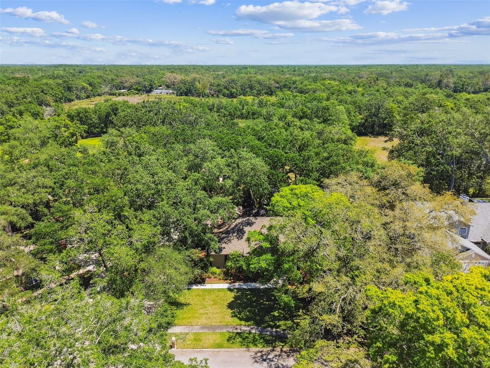 1816 CURRY RD, LUTZ, FL, 33549