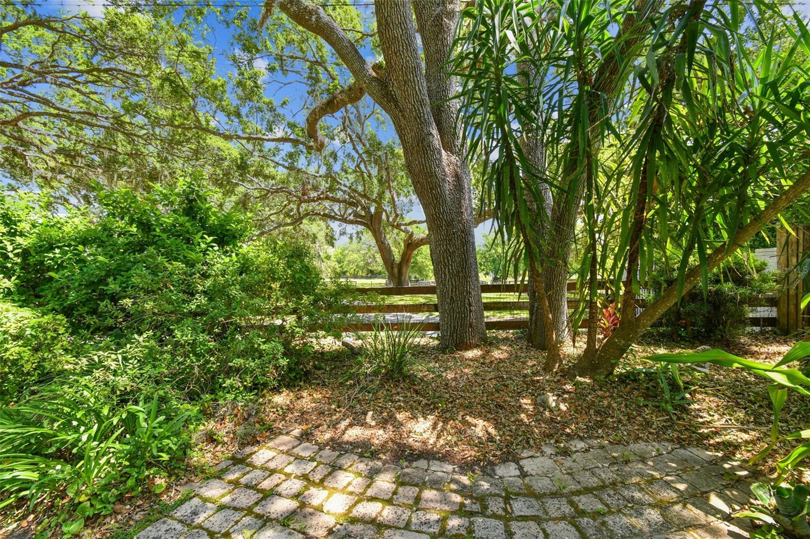 1816 CURRY RD, LUTZ, FL, 33549