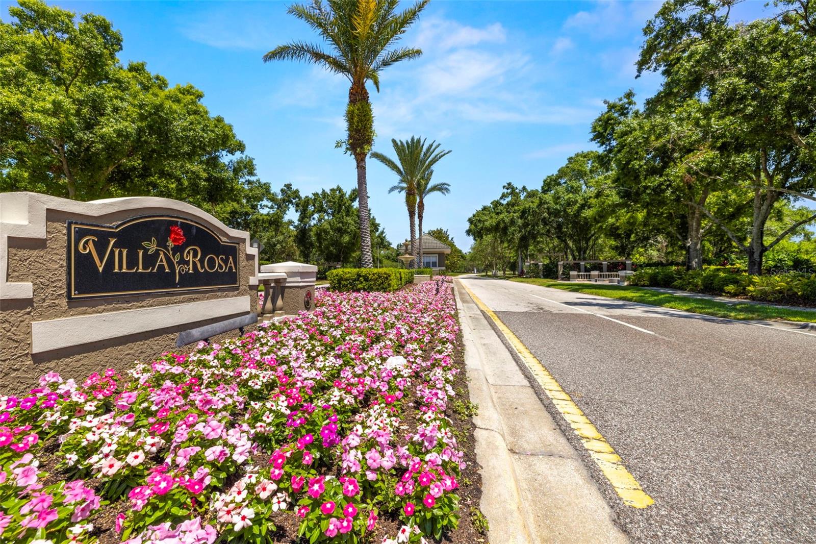 19505 MORDEN BLUSH DR, LUTZ, FL, 33558