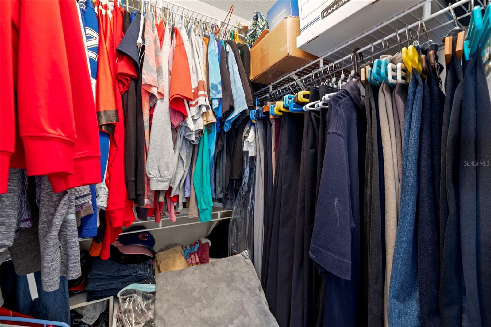 19505 MORDEN BLUSH DR, LUTZ, FL, 33558