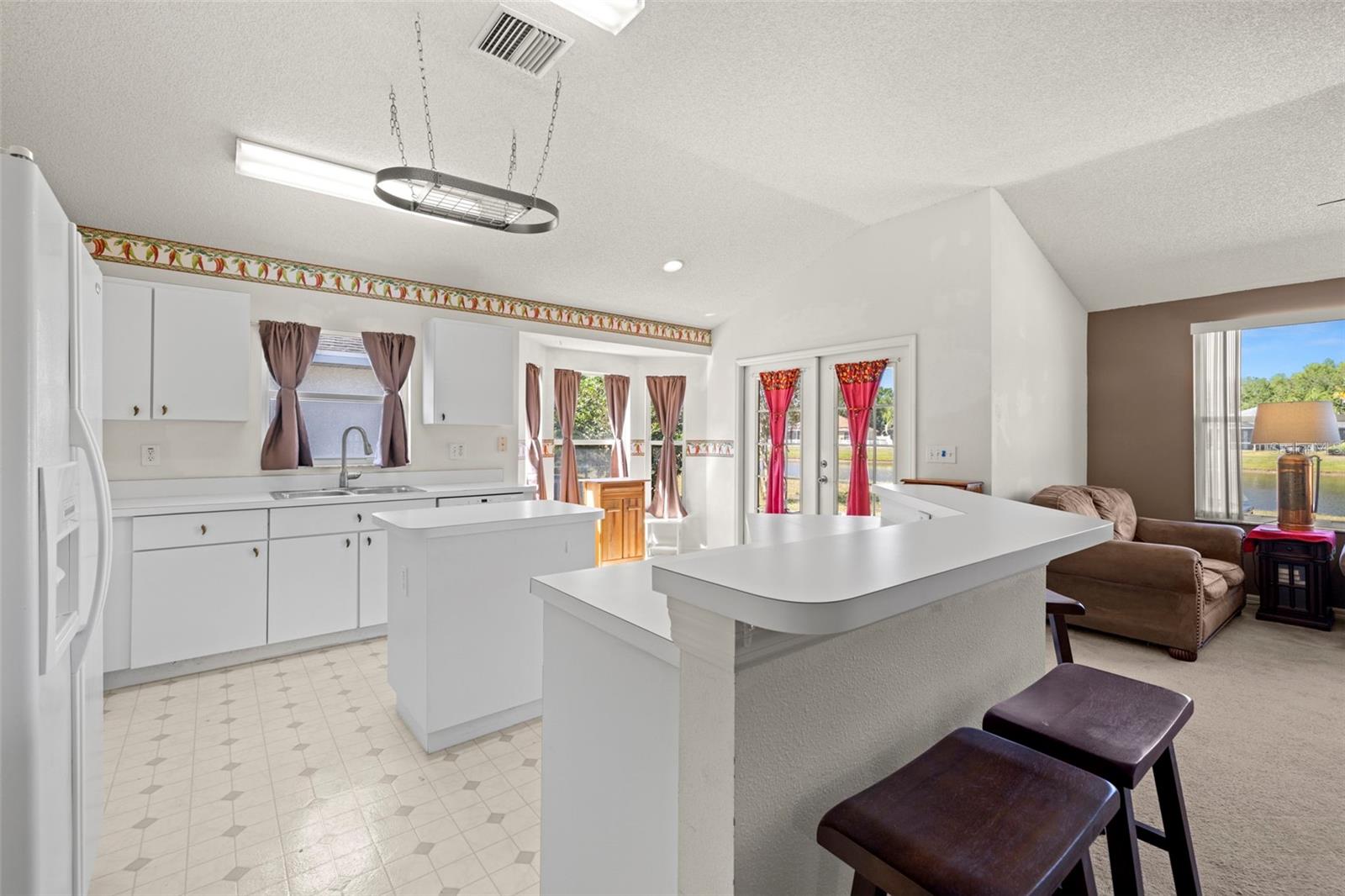 19505 MORDEN BLUSH DR, LUTZ, FL, 33558