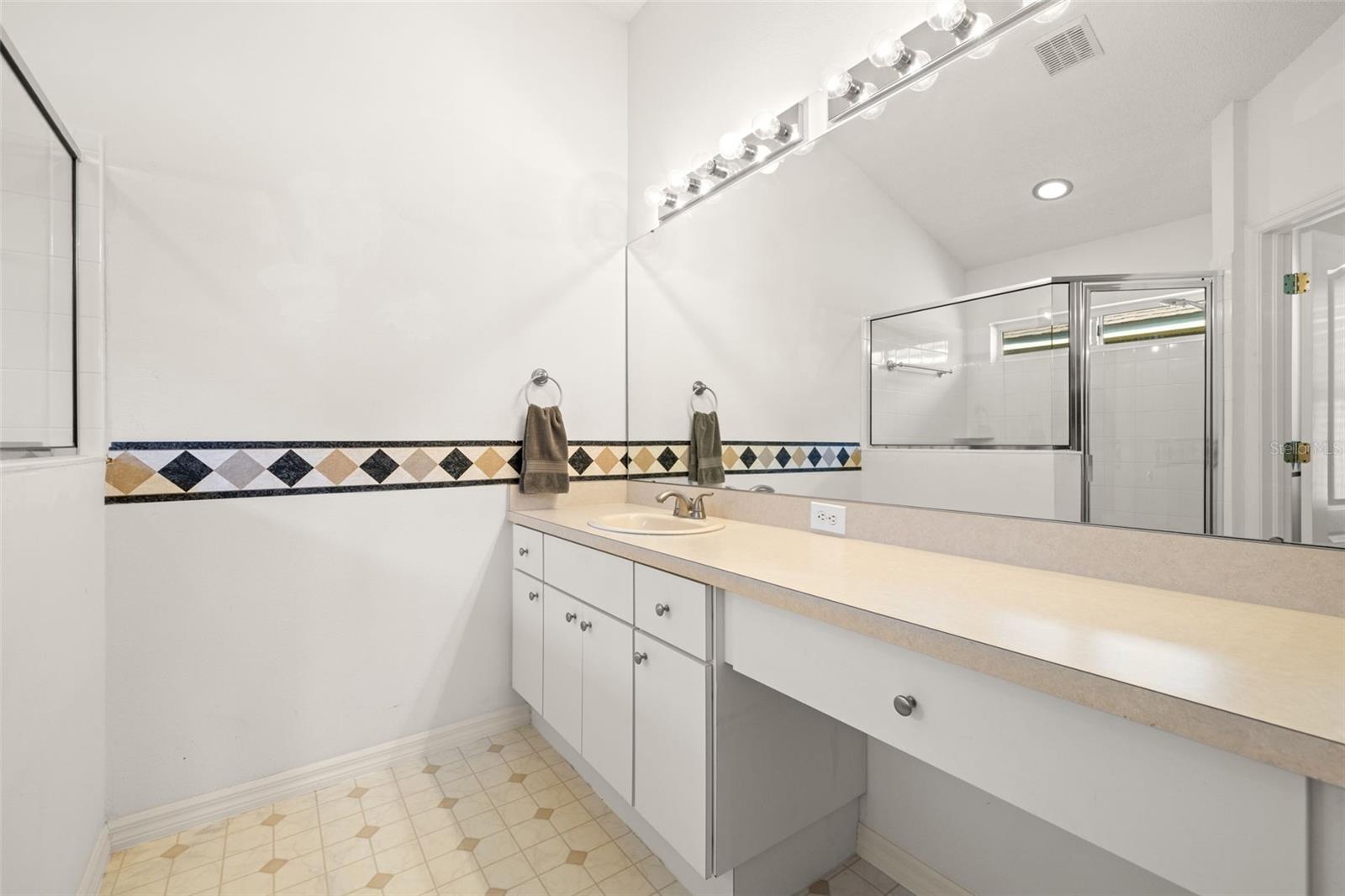 19505 MORDEN BLUSH DR, LUTZ, FL, 33558