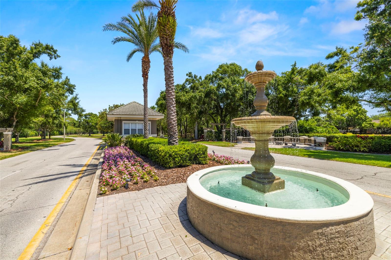 19505 MORDEN BLUSH DR, LUTZ, FL, 33558