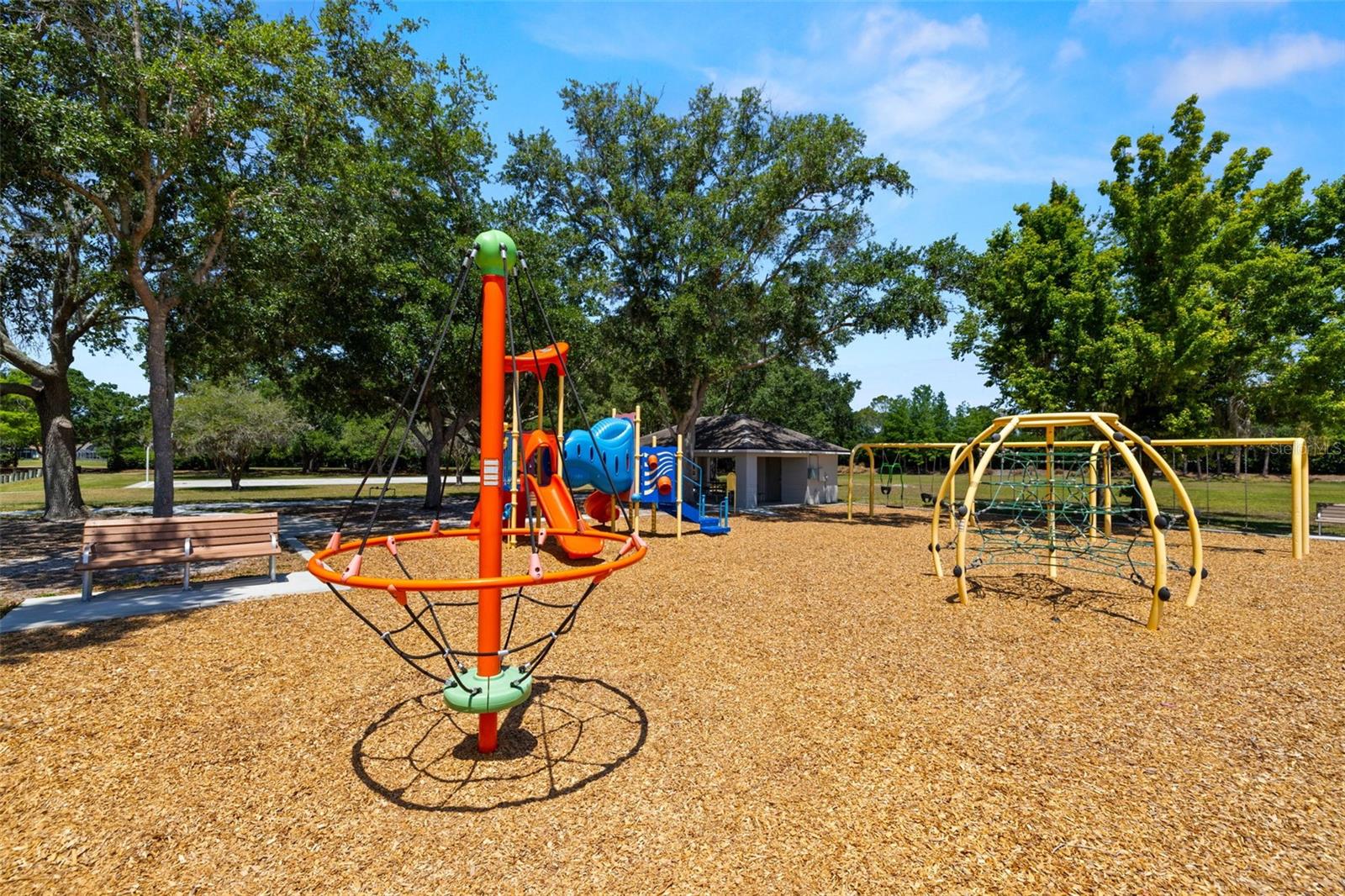 19505 MORDEN BLUSH DR, LUTZ, FL, 33558