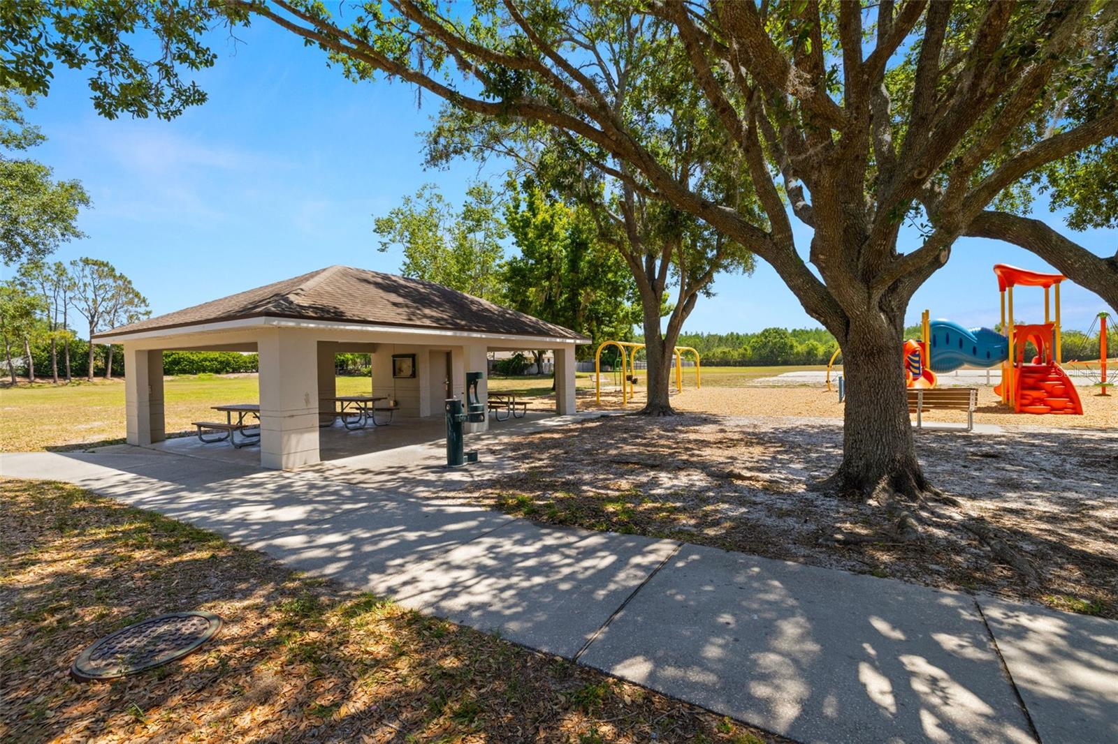 19505 MORDEN BLUSH DR, LUTZ, FL, 33558