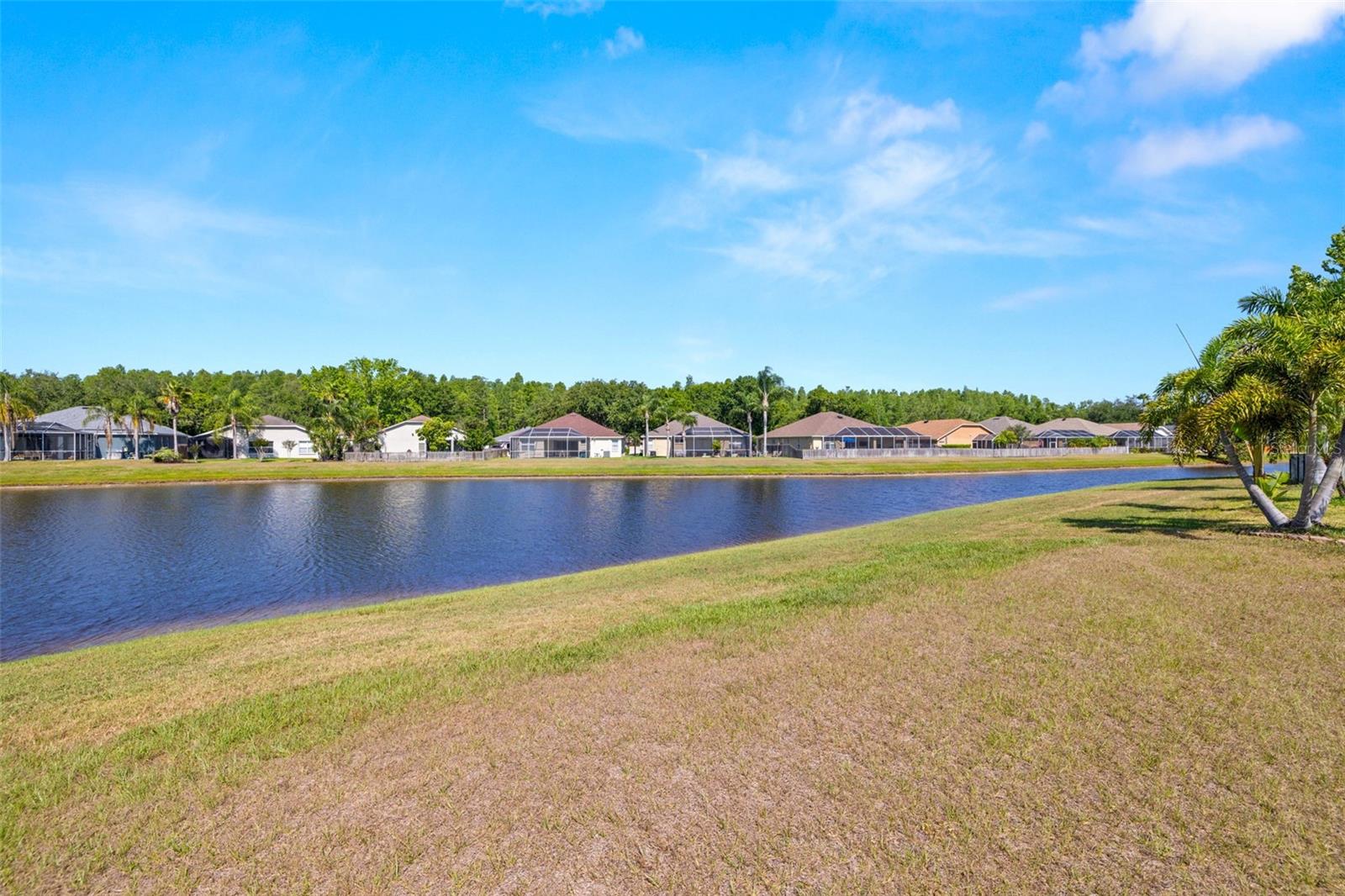 19505 MORDEN BLUSH DR, LUTZ, FL, 33558