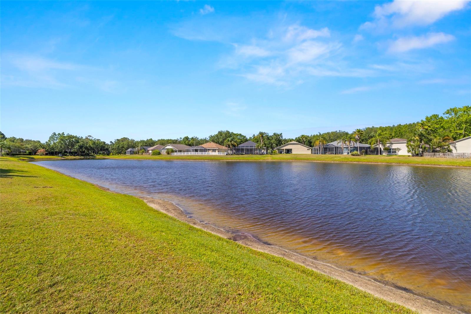 19505 MORDEN BLUSH DR, LUTZ, FL, 33558