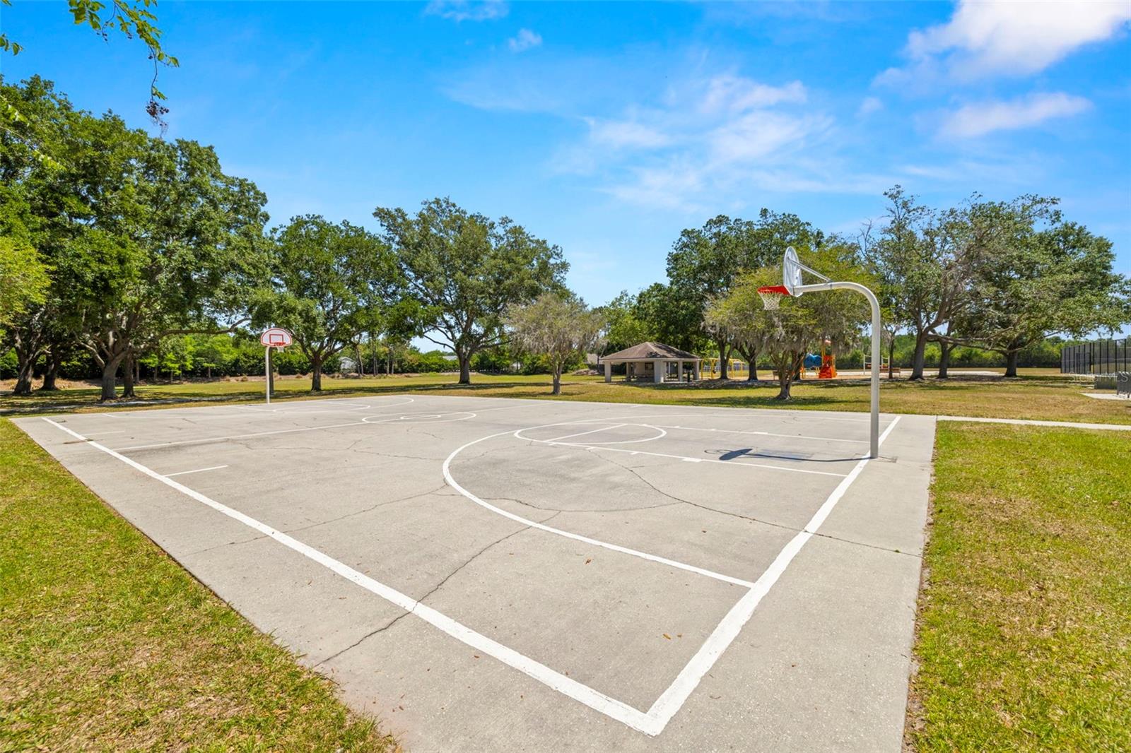 19505 MORDEN BLUSH DR, LUTZ, FL, 33558