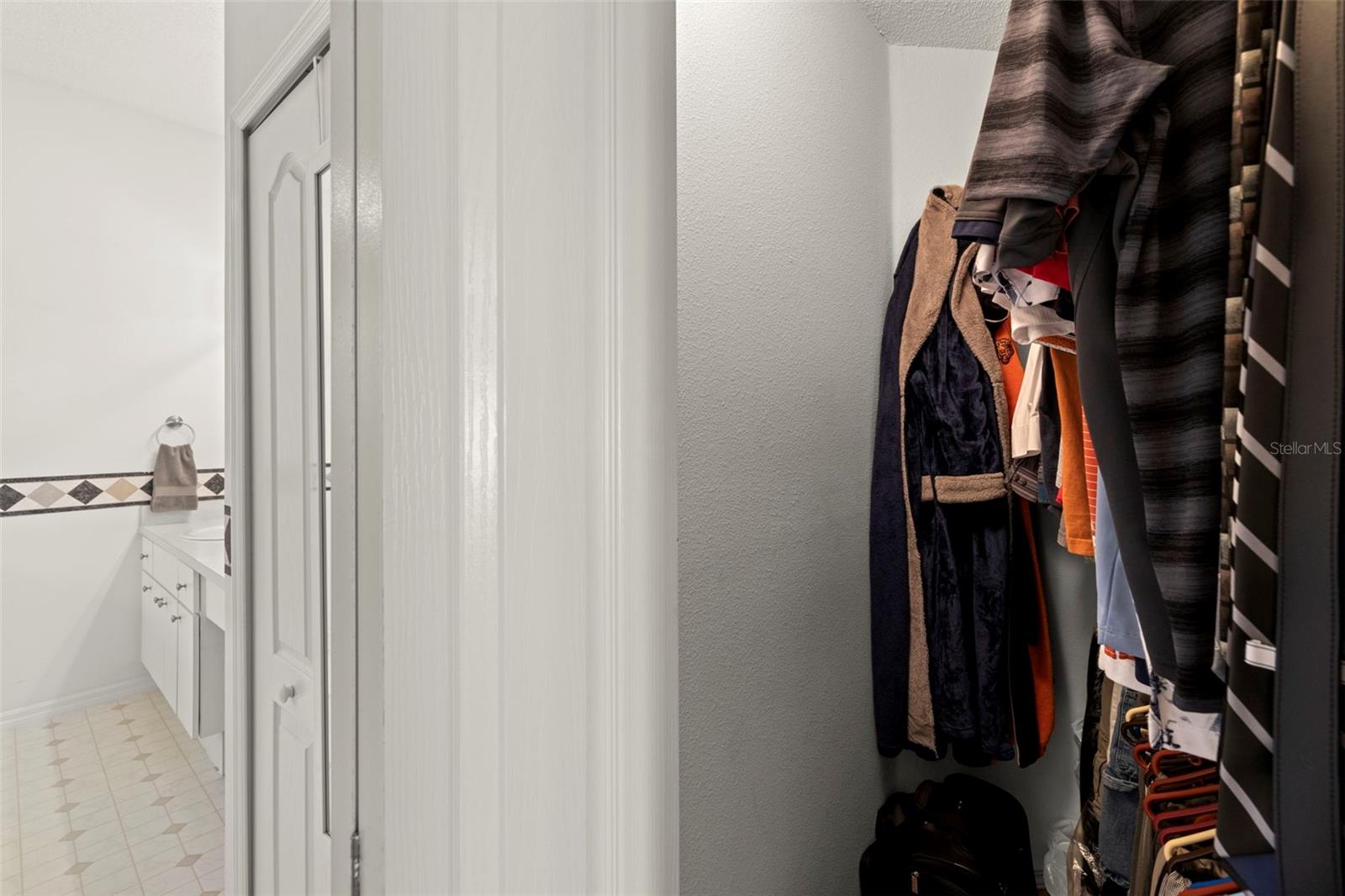 19505 MORDEN BLUSH DR, LUTZ, FL, 33558