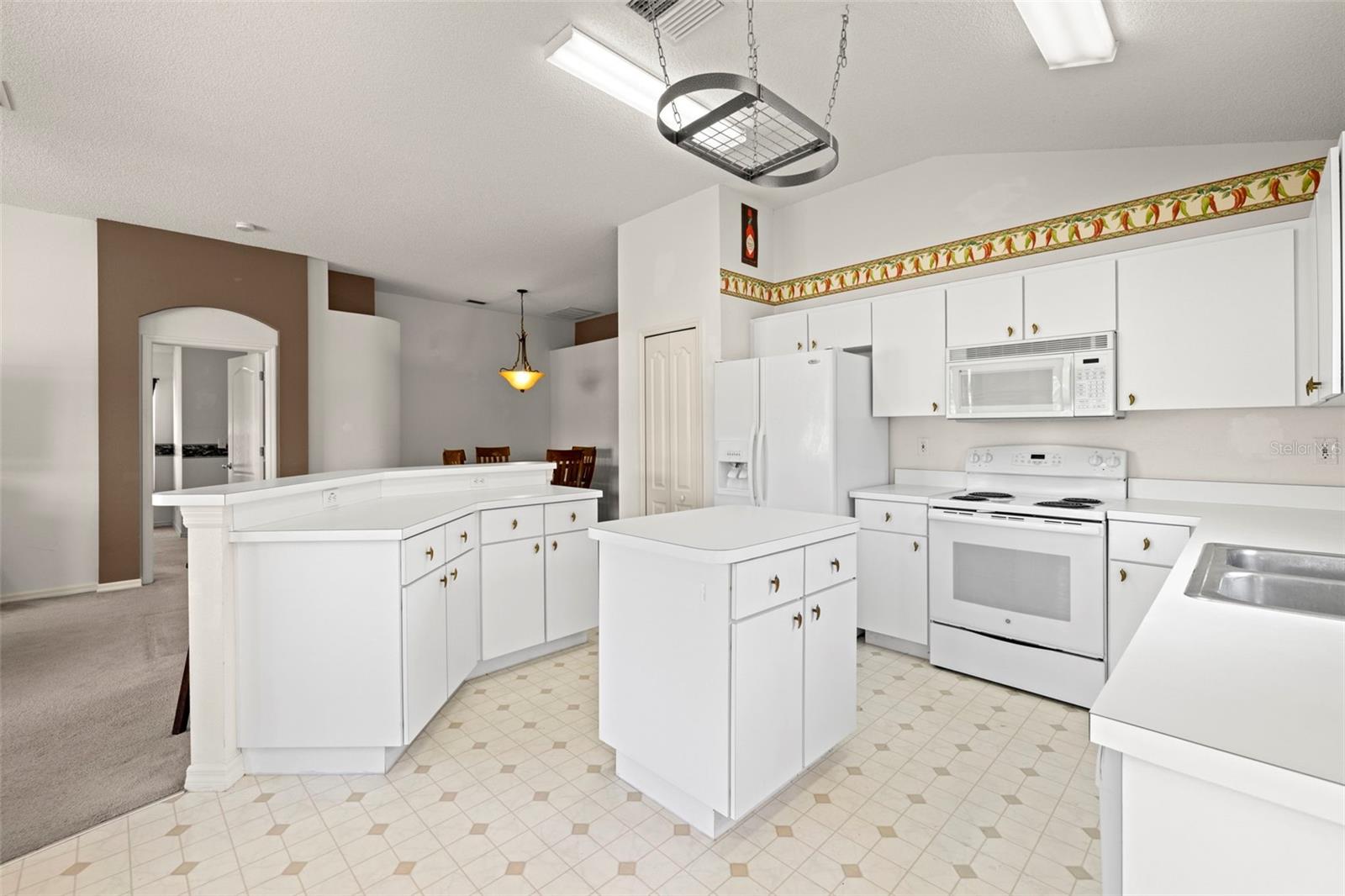 19505 MORDEN BLUSH DR, LUTZ, FL, 33558