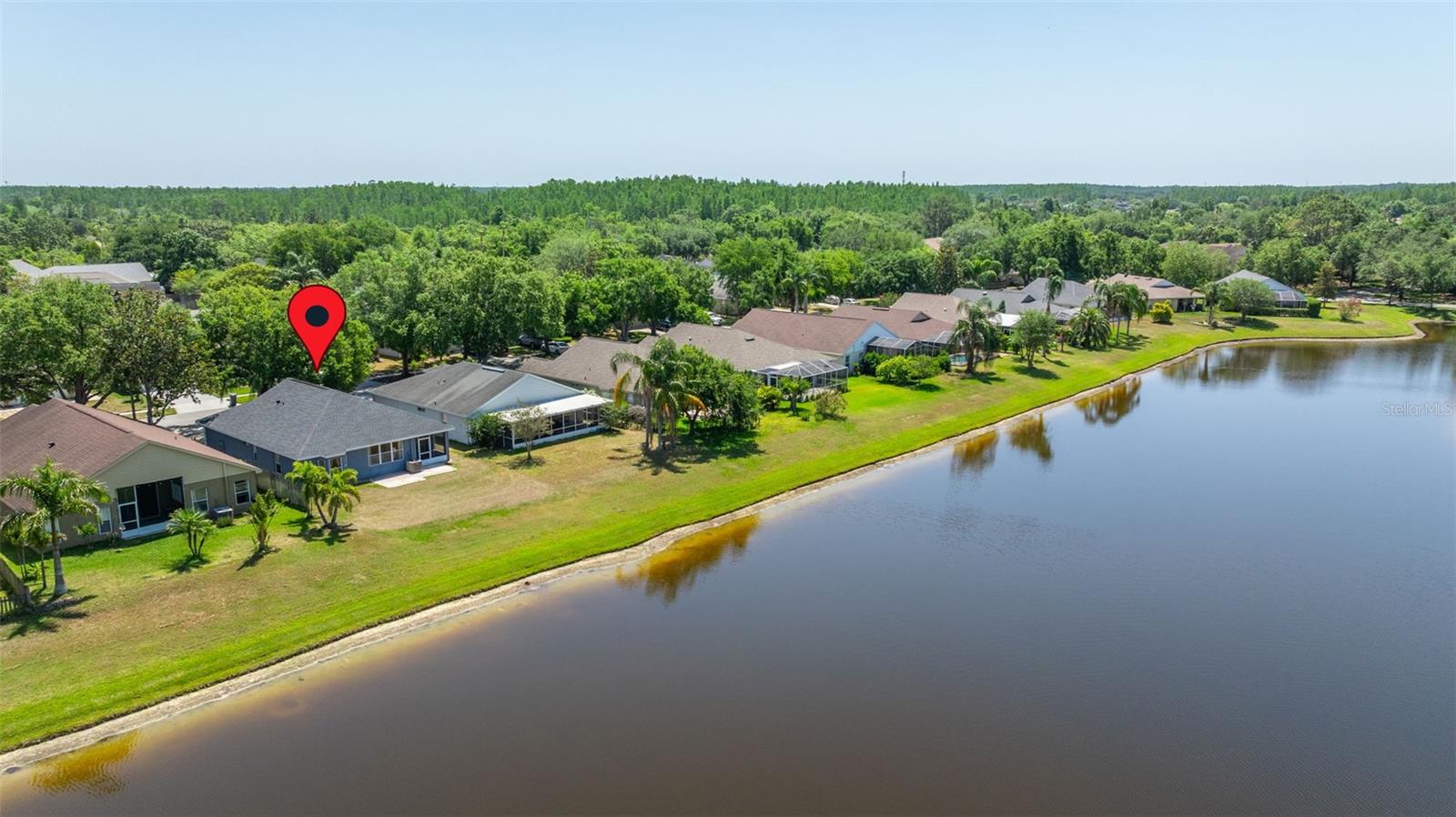 19505 MORDEN BLUSH DR, LUTZ, FL, 33558