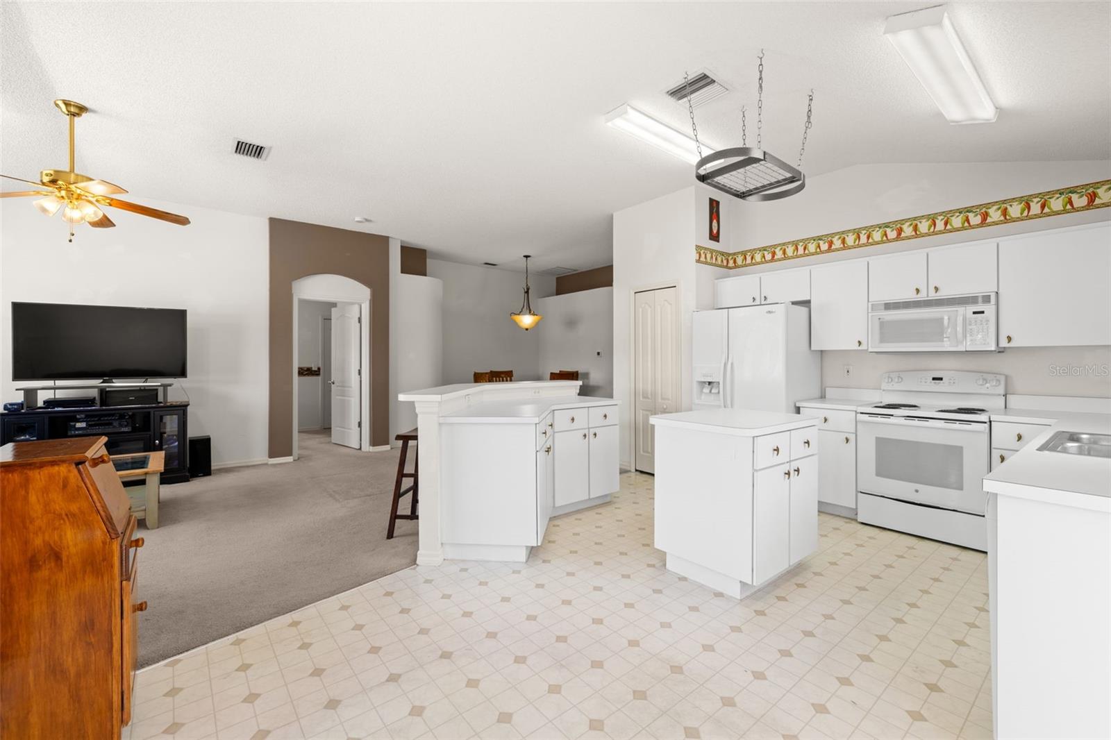 19505 MORDEN BLUSH DR, LUTZ, FL, 33558