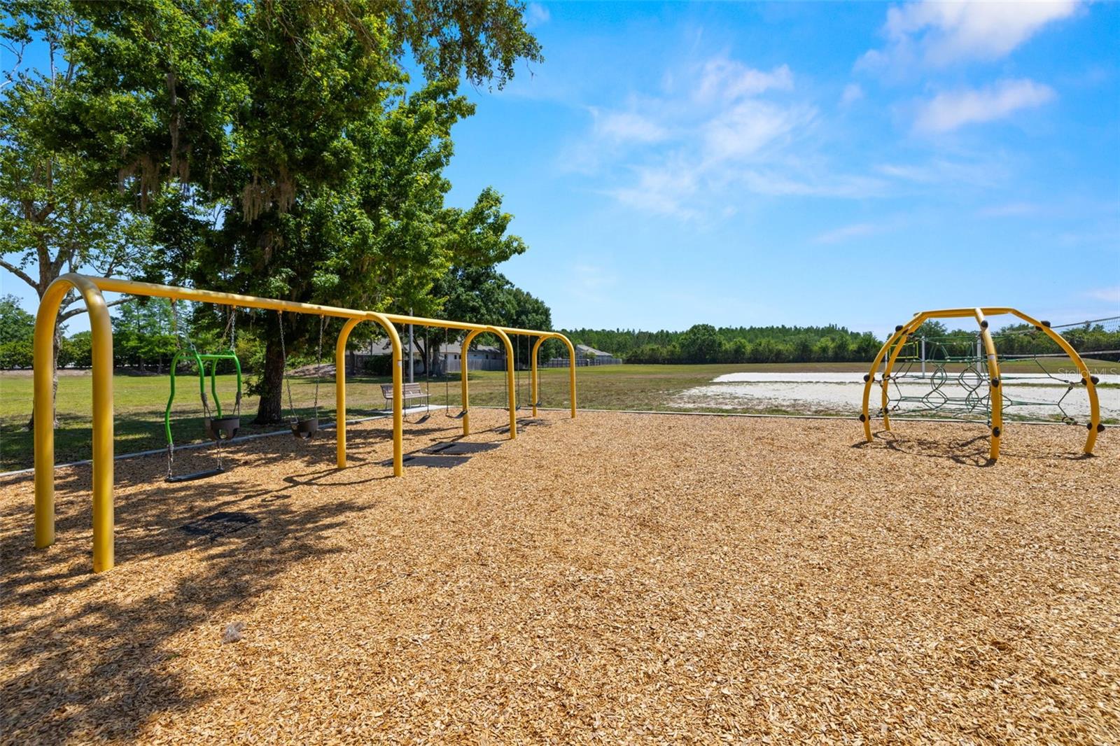 19505 MORDEN BLUSH DR, LUTZ, FL, 33558