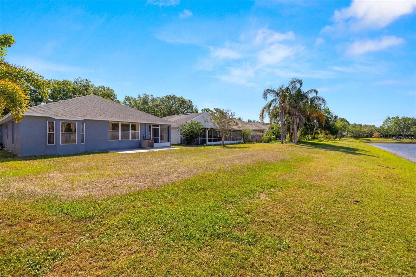 19505 MORDEN BLUSH DR, LUTZ, FL, 33558