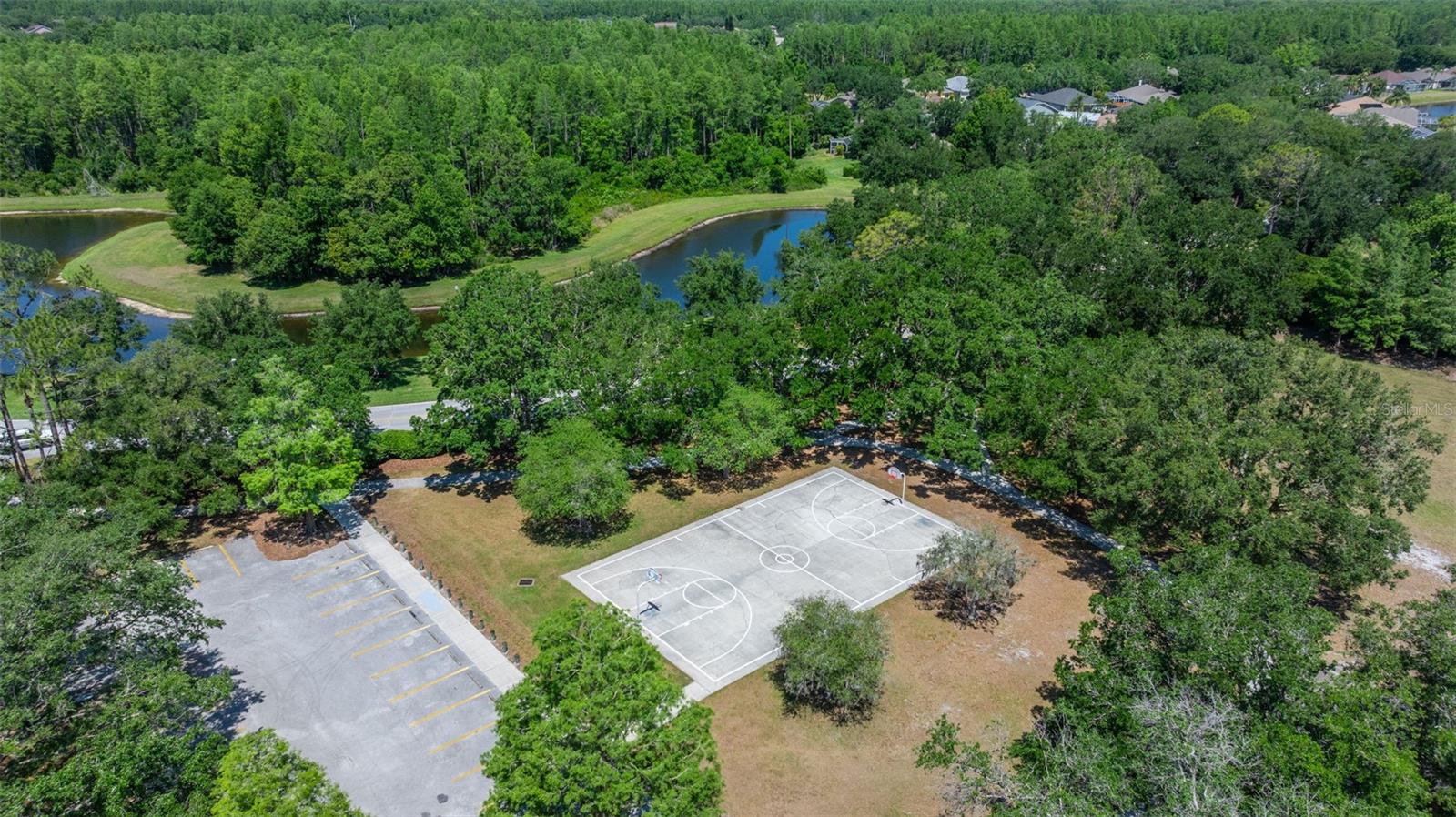 19505 MORDEN BLUSH DR, LUTZ, FL, 33558