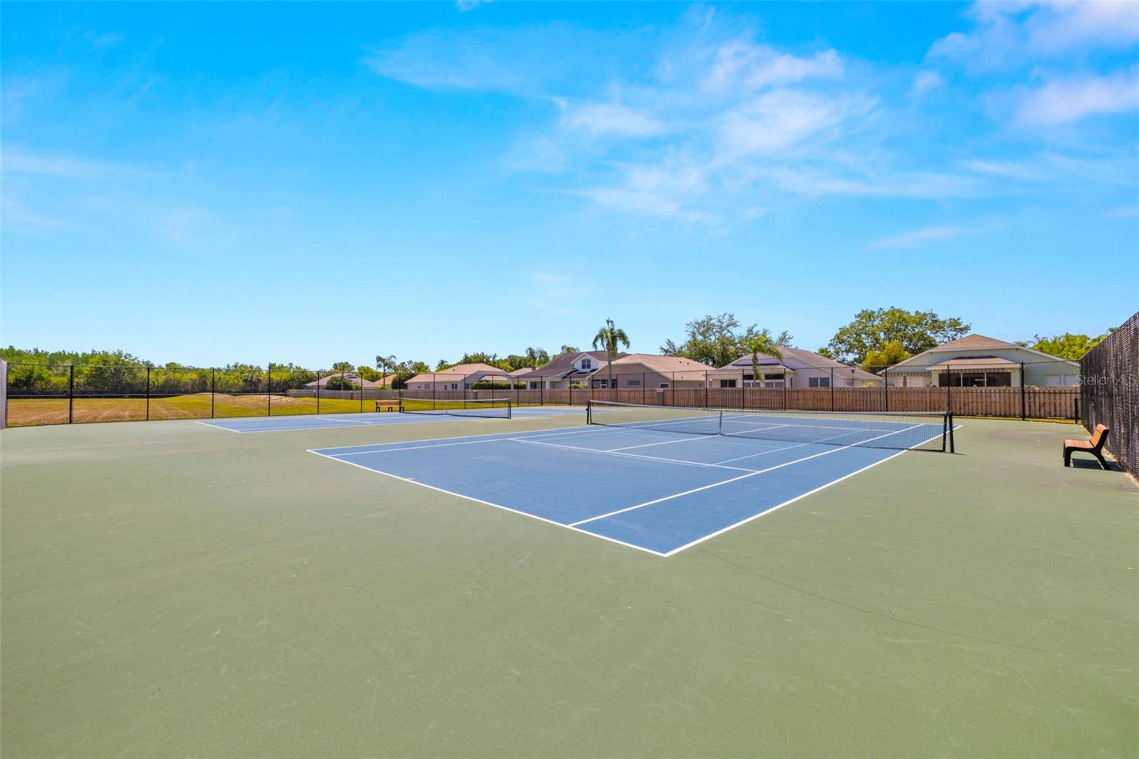 19505 MORDEN BLUSH DR, LUTZ, FL, 33558