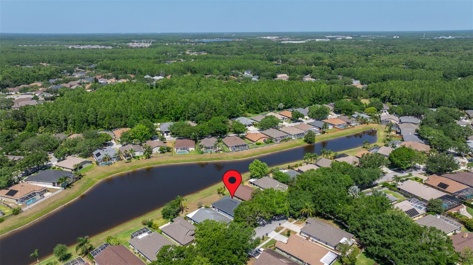 19505 MORDEN BLUSH DR, LUTZ, FL, 33558