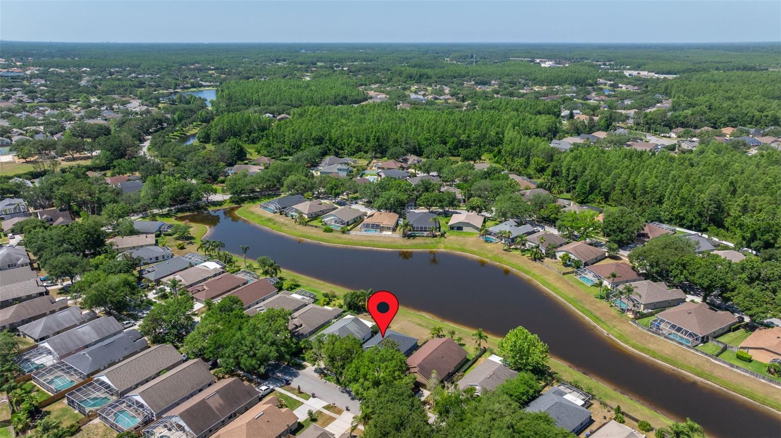 19505 MORDEN BLUSH DR, LUTZ, FL, 33558