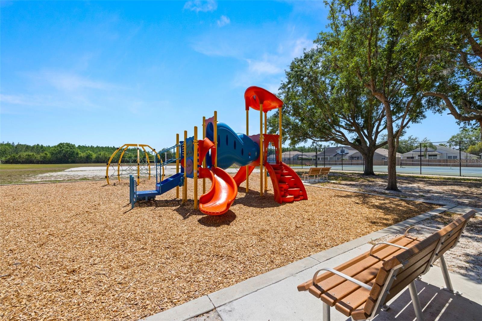 19505 MORDEN BLUSH DR, LUTZ, FL, 33558