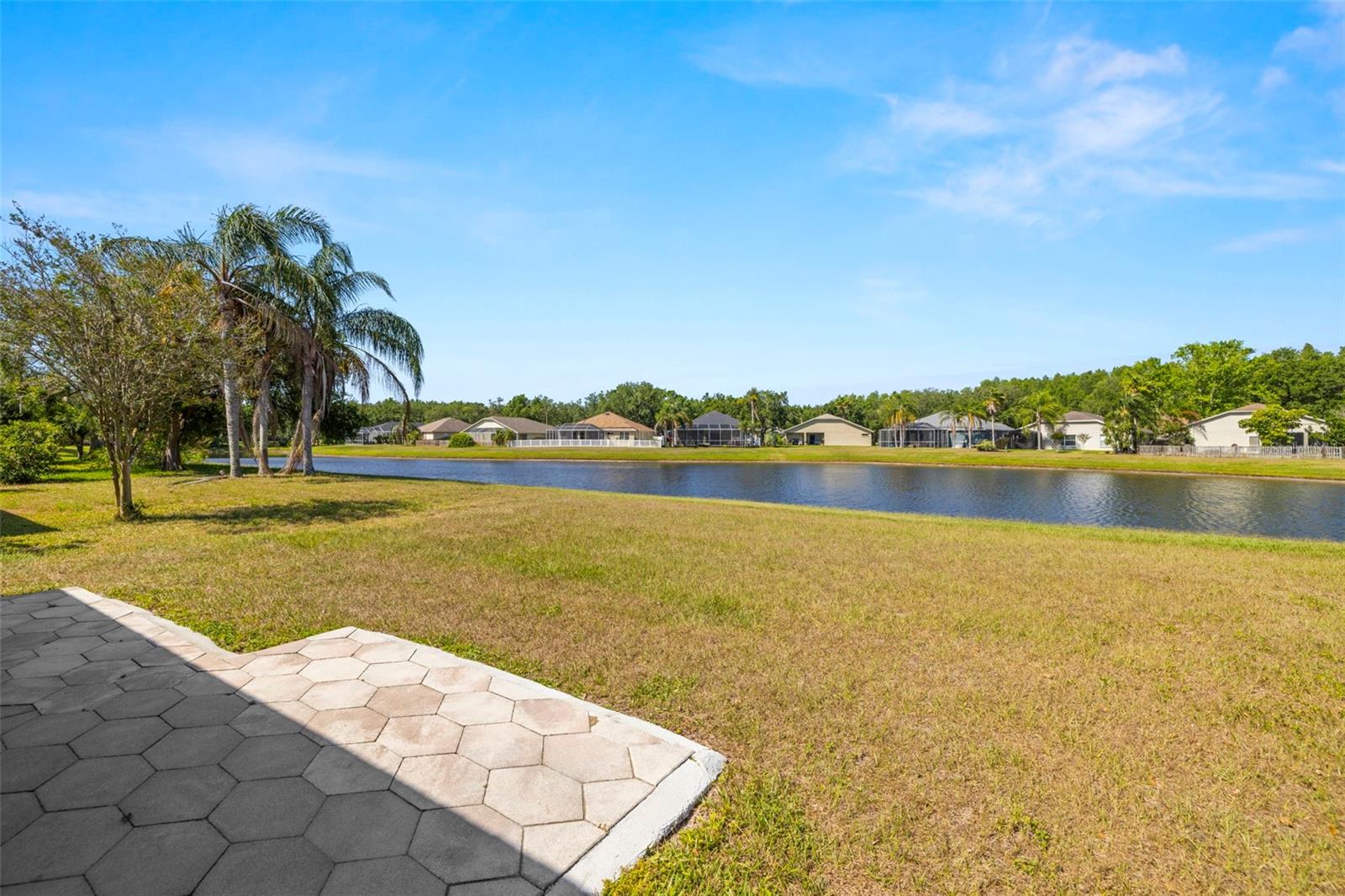 19505 MORDEN BLUSH DR, LUTZ, FL, 33558