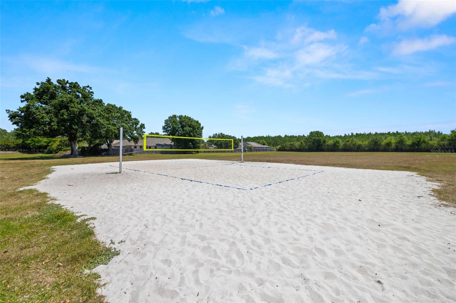 19505 MORDEN BLUSH DR, LUTZ, FL, 33558