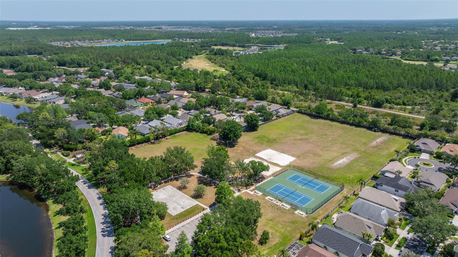 19505 MORDEN BLUSH DR, LUTZ, FL, 33558