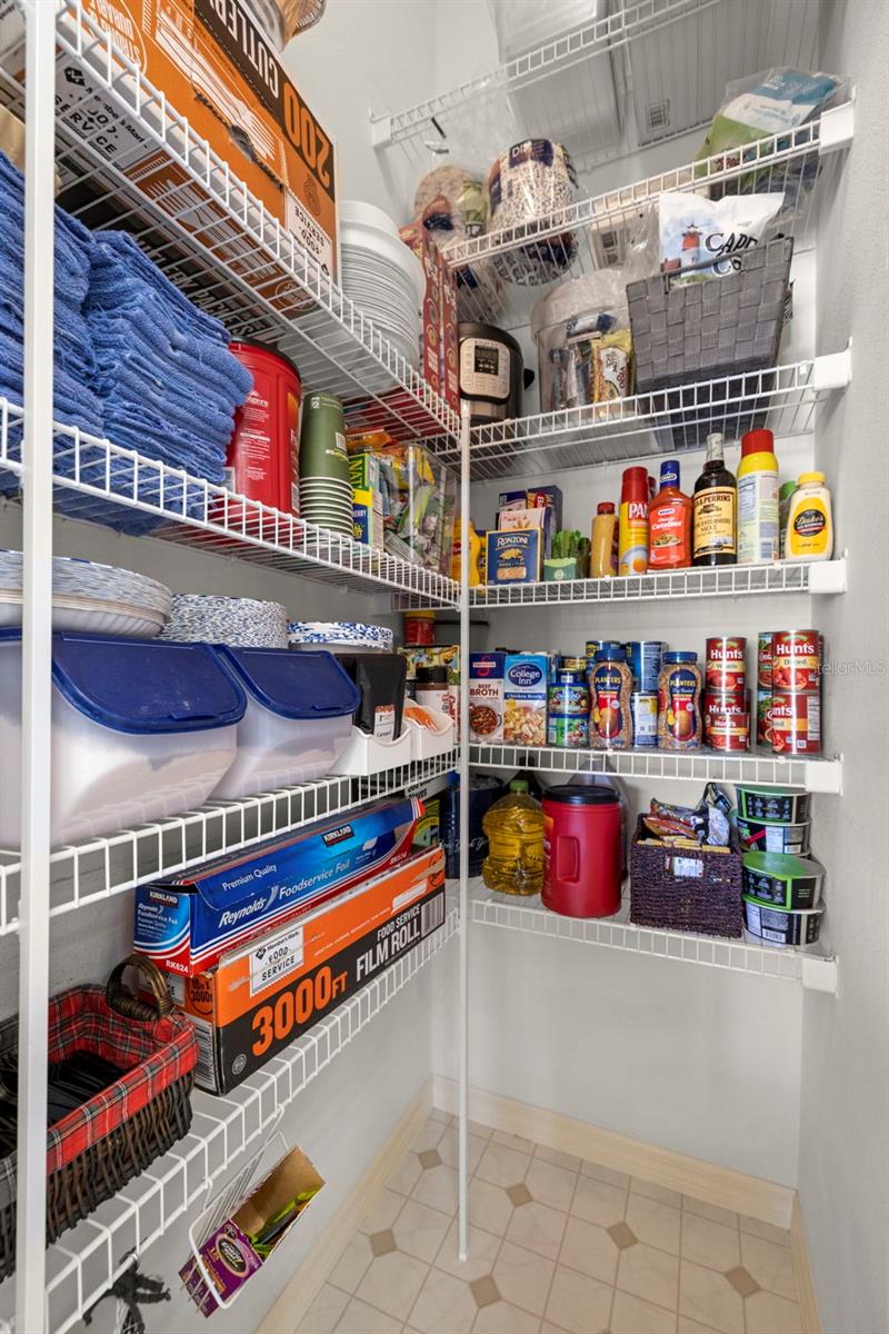 19505 MORDEN BLUSH DR, LUTZ, FL, 33558