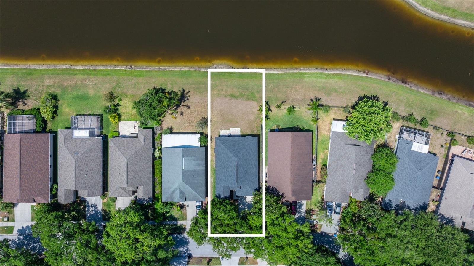 19505 MORDEN BLUSH DR, LUTZ, FL, 33558