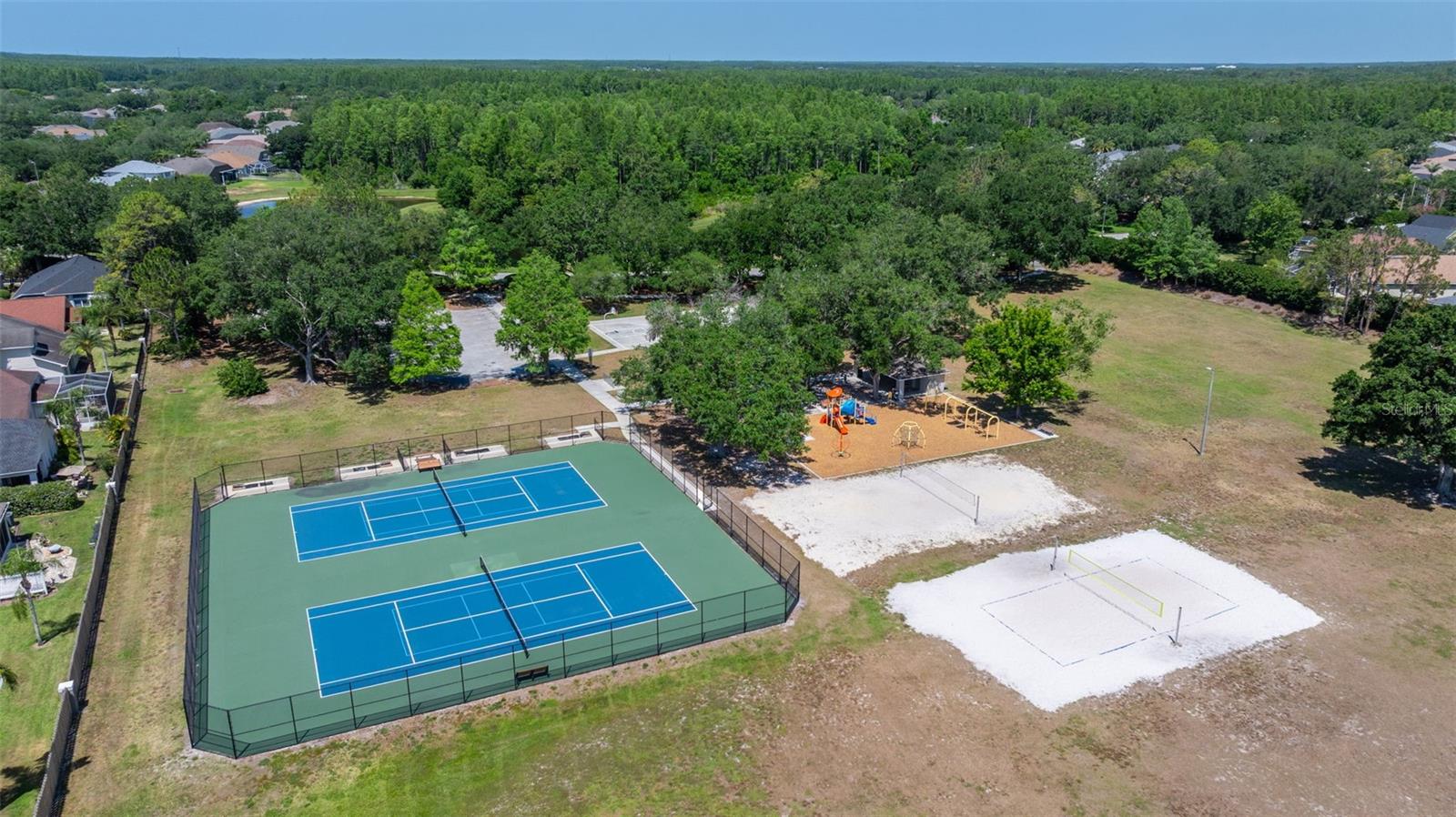 19505 MORDEN BLUSH DR, LUTZ, FL, 33558