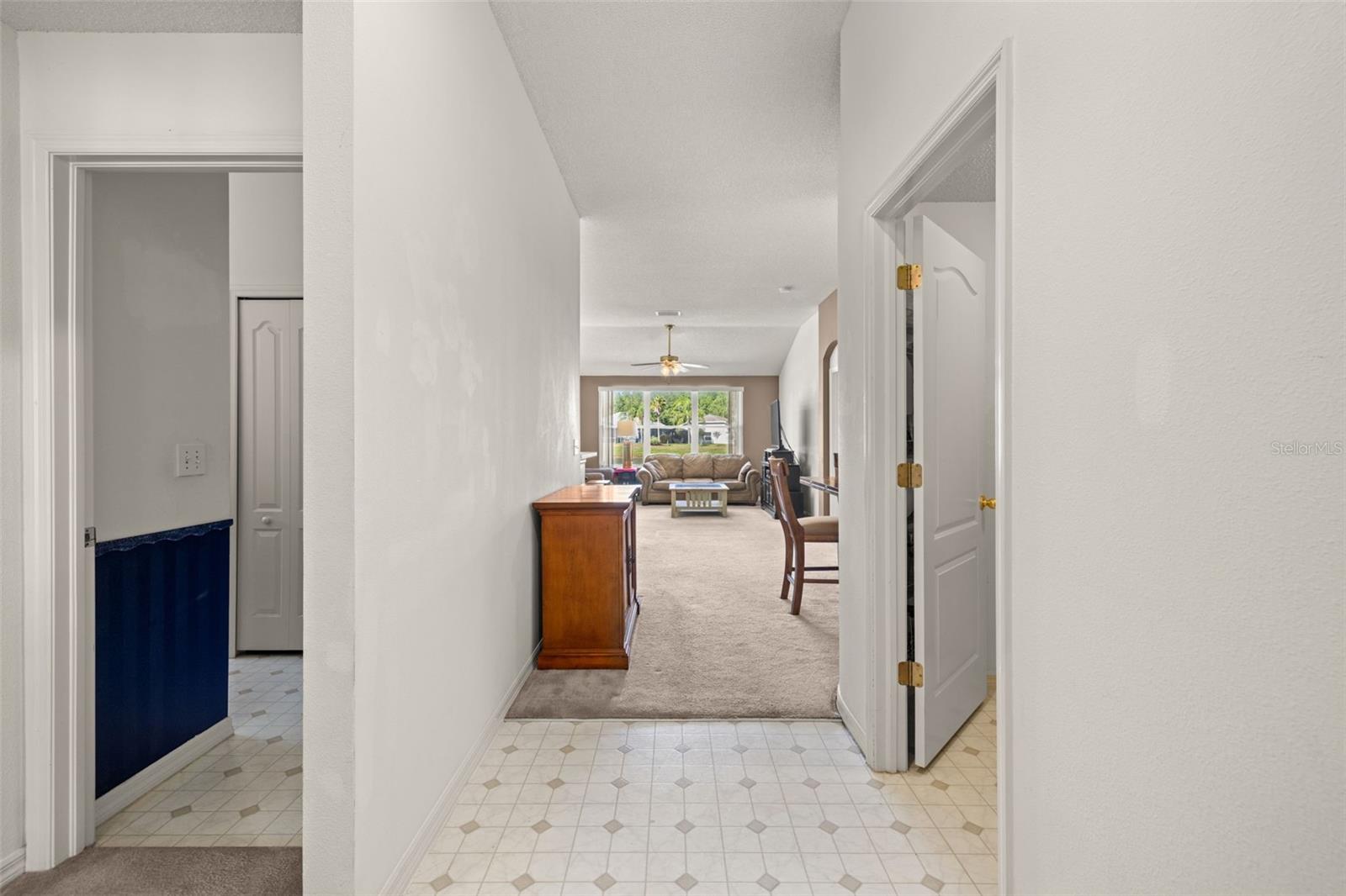 19505 MORDEN BLUSH DR, LUTZ, FL, 33558