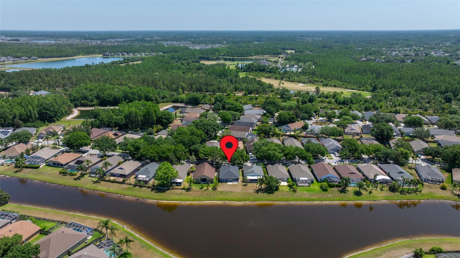 19505 MORDEN BLUSH DR, LUTZ, FL, 33558